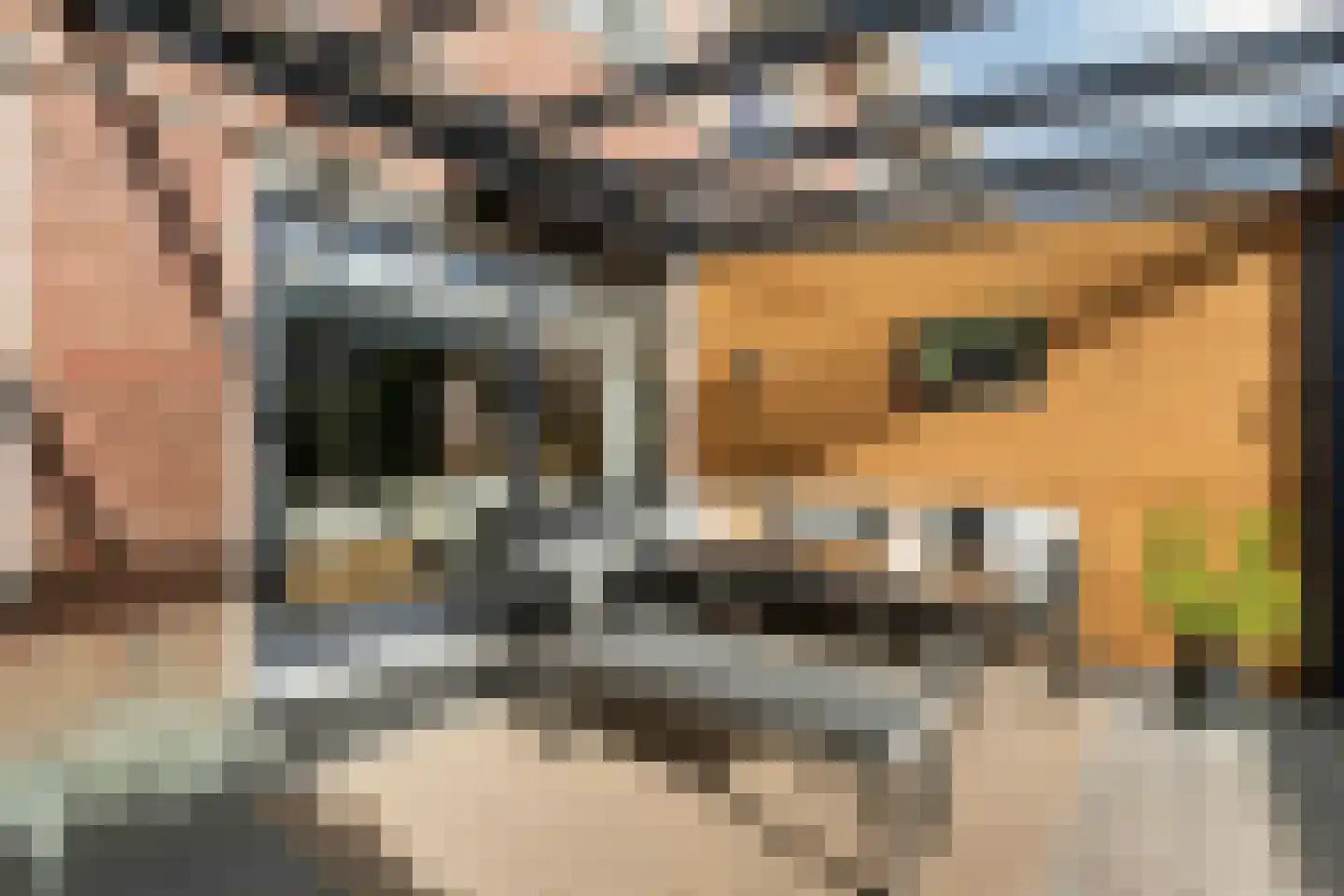 Simon Vestdijkstraat 6 Harderwijk thumbnail 43