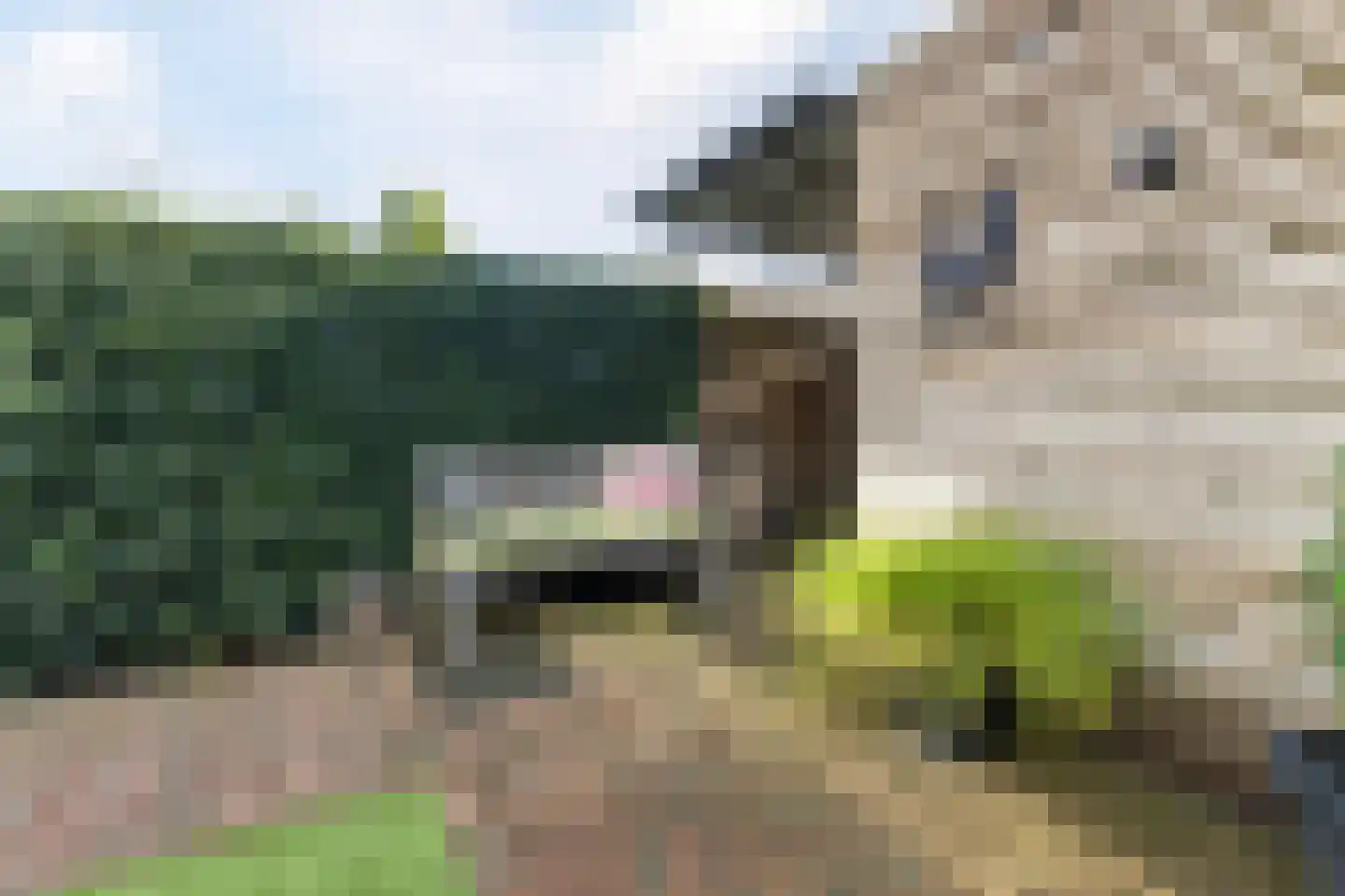 Simon Vestdijkstraat 6 Harderwijk thumbnail 46