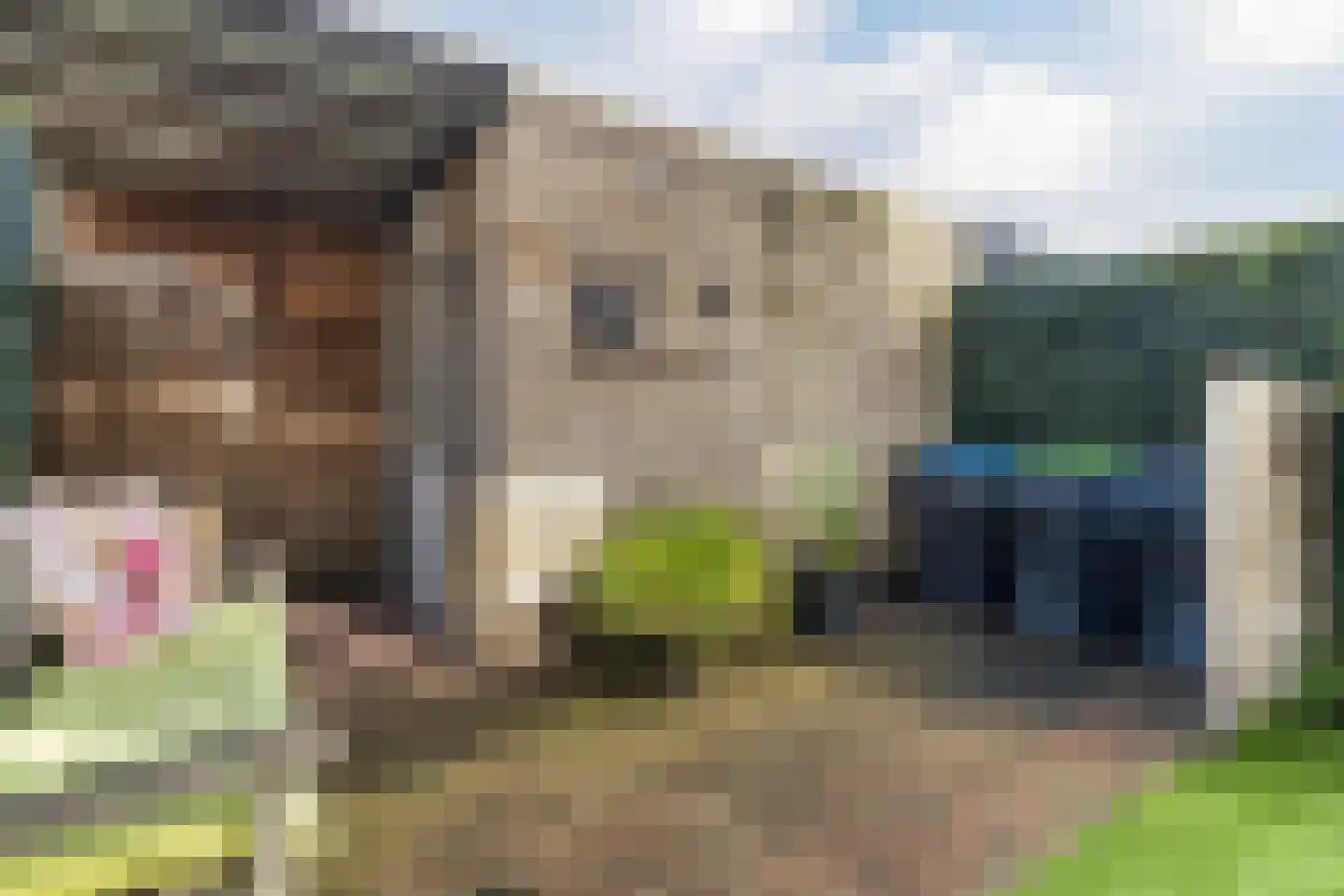 Simon Vestdijkstraat 6 Harderwijk thumbnail 47