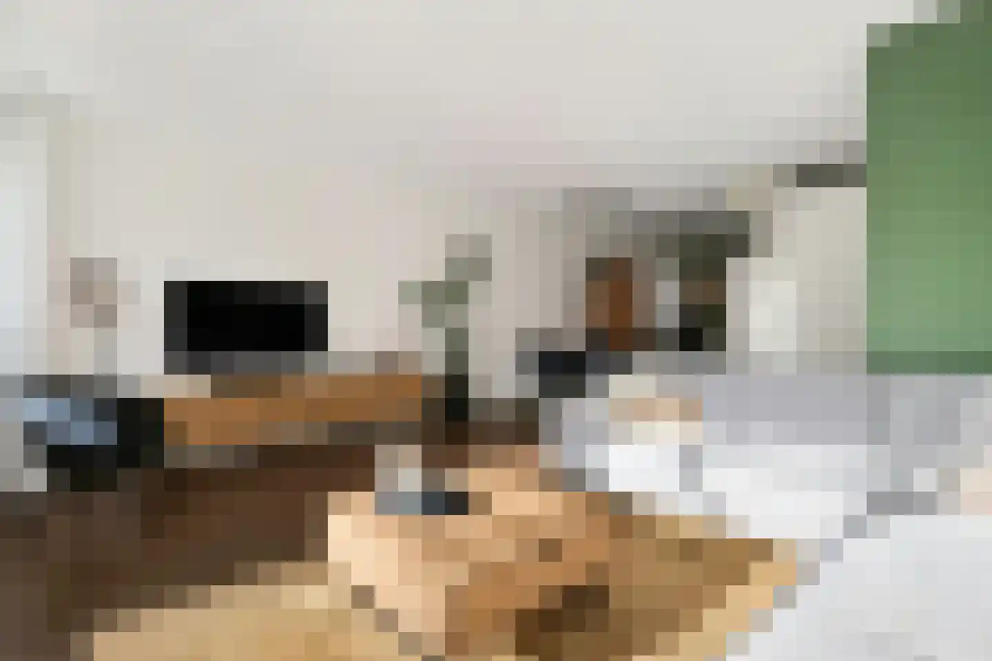 Simon Vestdijkstraat 6 Harderwijk thumbnail 9