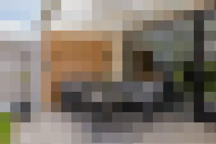 Simon Vestdijkstraat 79 Dongen thumbnail 16