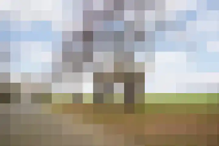 Simon Vestdijkstraat 9 Wageningen thumbnail 31