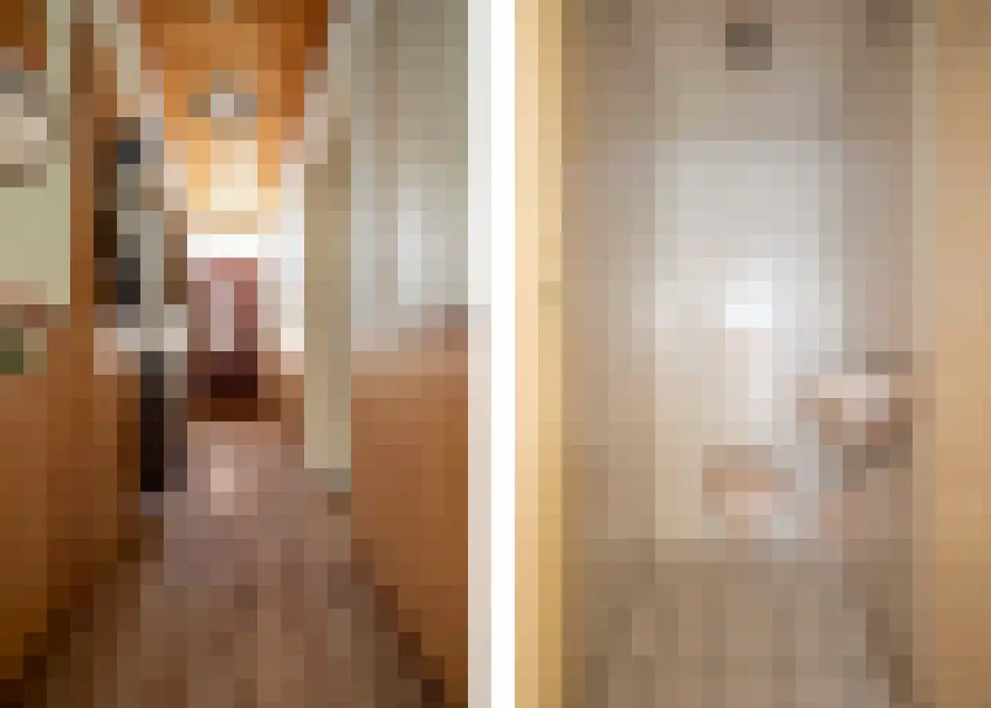 Simondsstraat 4 Genemuiden thumbnail 10