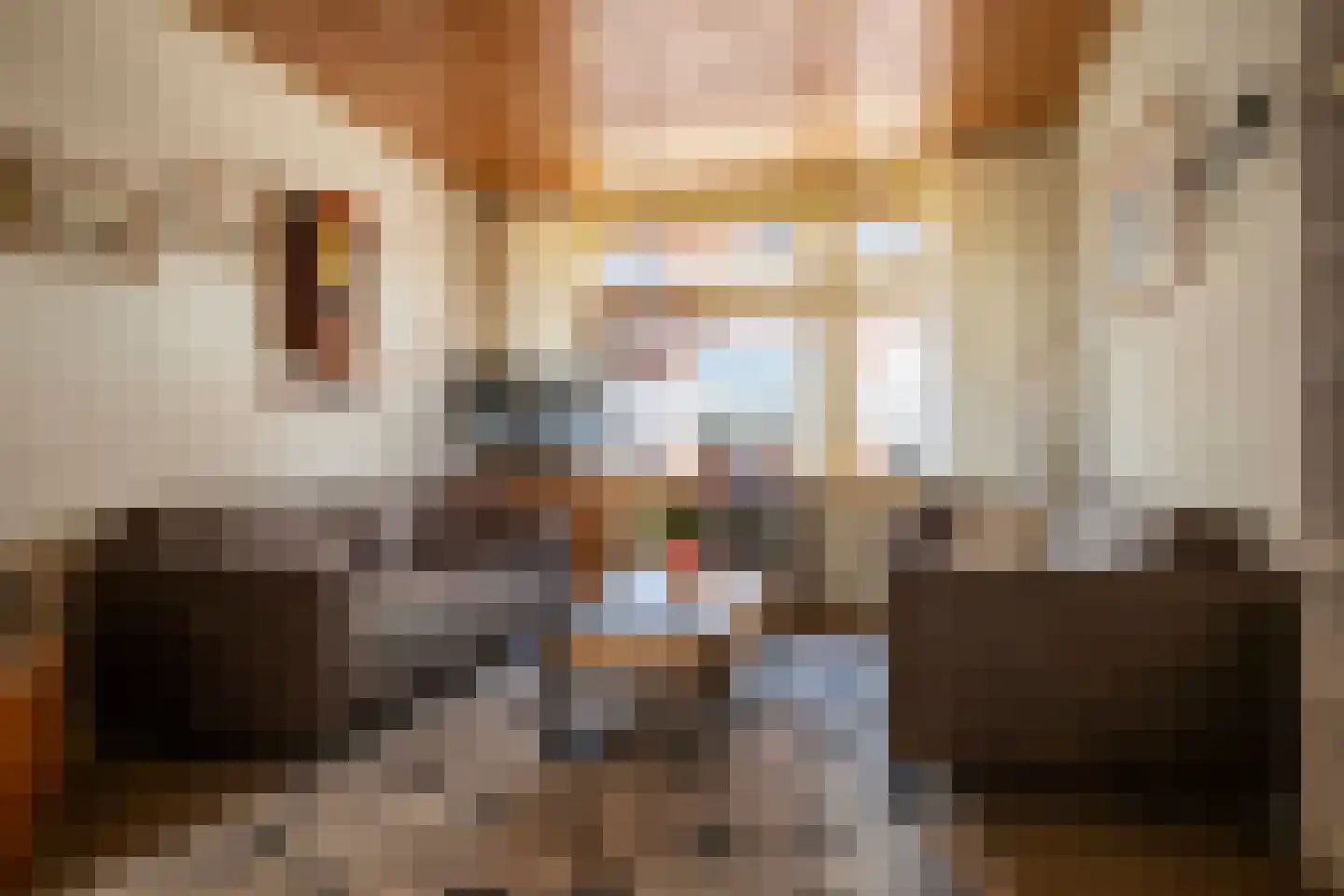 Simondsstraat 4 Genemuiden thumbnail 11