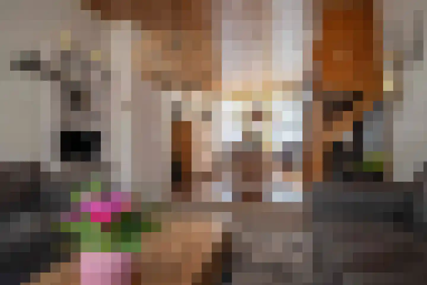 Simondsstraat 4 Genemuiden thumbnail 12