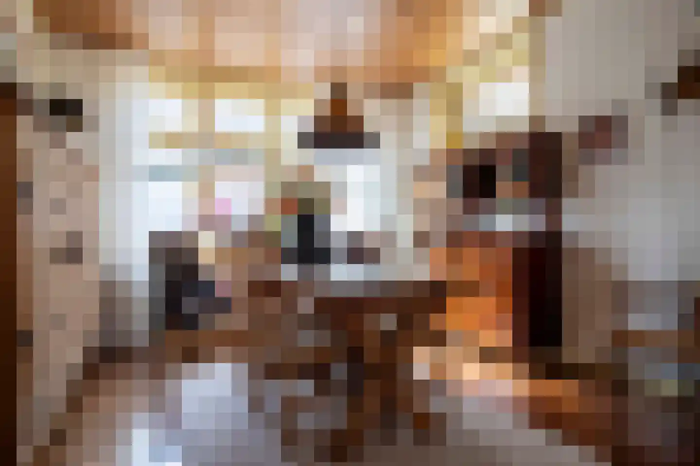 Simondsstraat 4 Genemuiden thumbnail 13