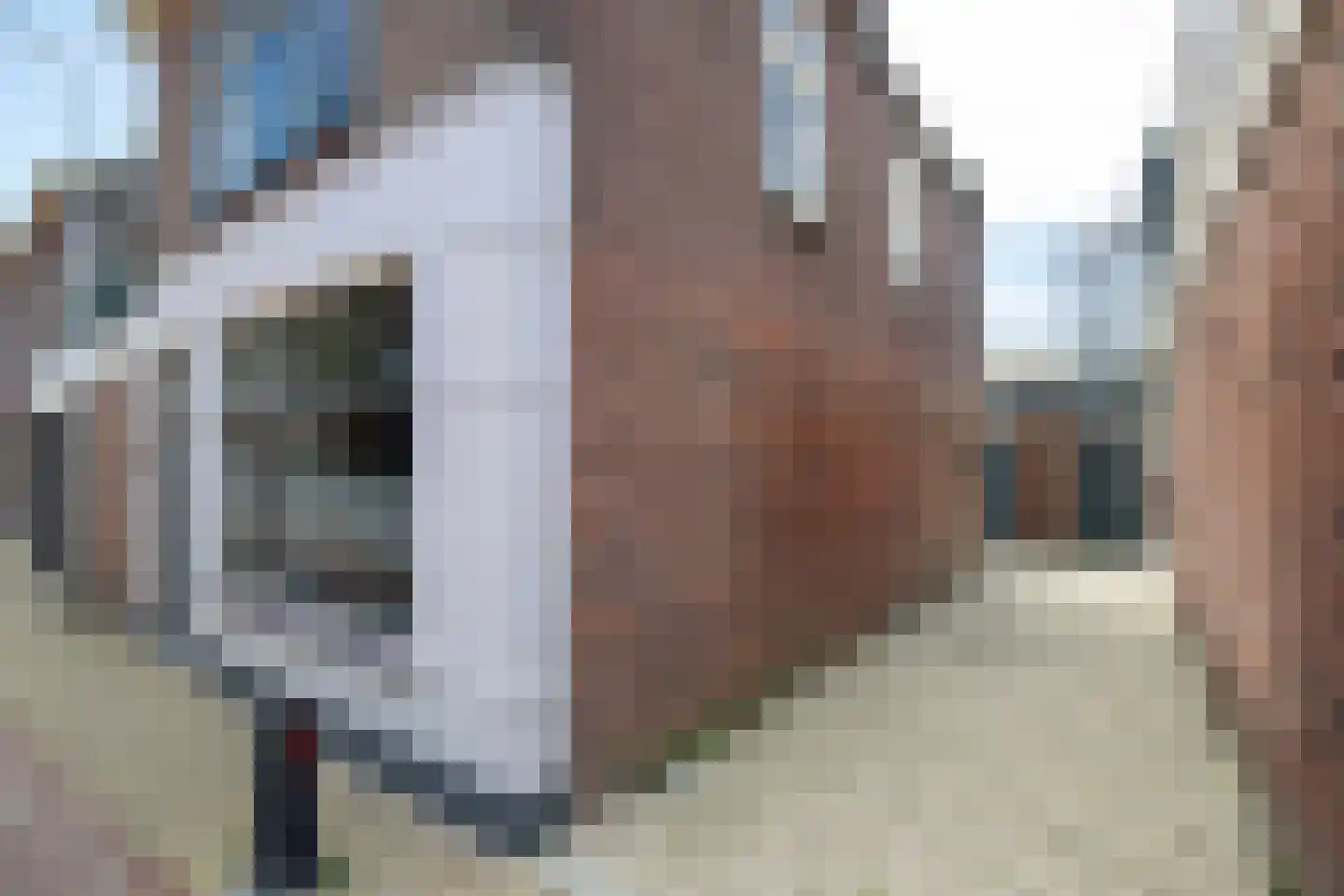 Simondsstraat 4 Genemuiden thumbnail 20