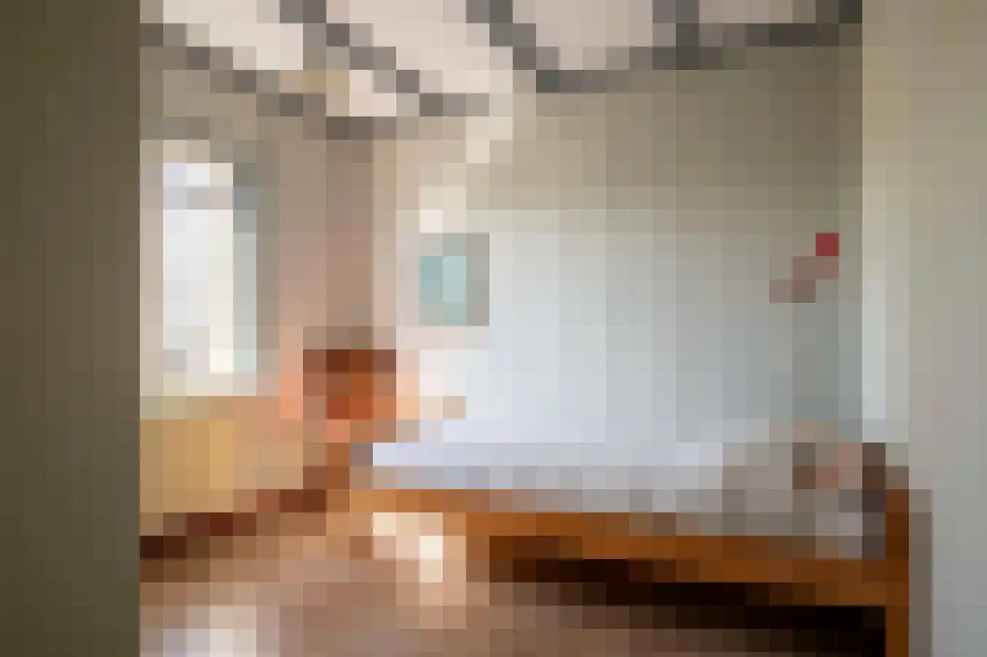 Simondsstraat 4 Genemuiden thumbnail 26