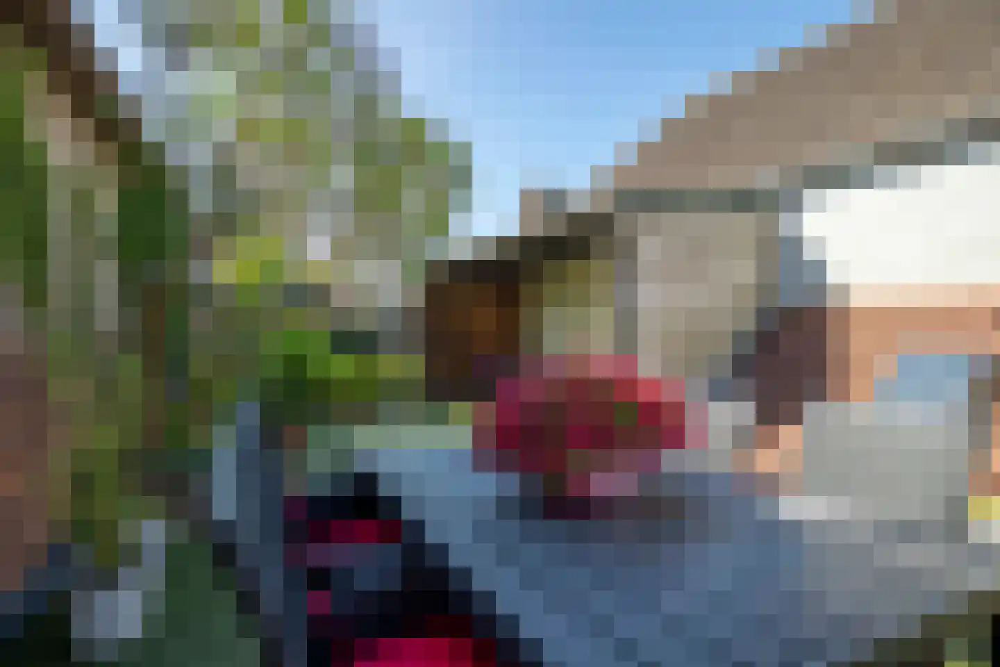 Simondsstraat 4 Genemuiden thumbnail 32