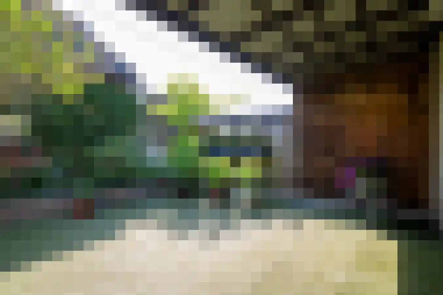 Simondsstraat 4 Genemuiden thumbnail 34