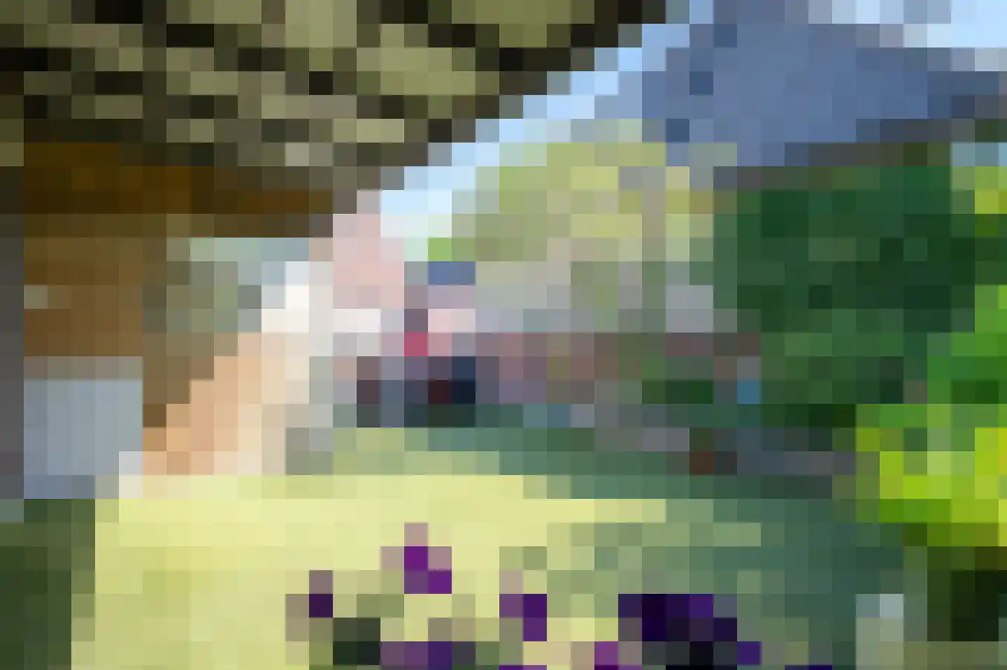 Simondsstraat 4 Genemuiden thumbnail 35