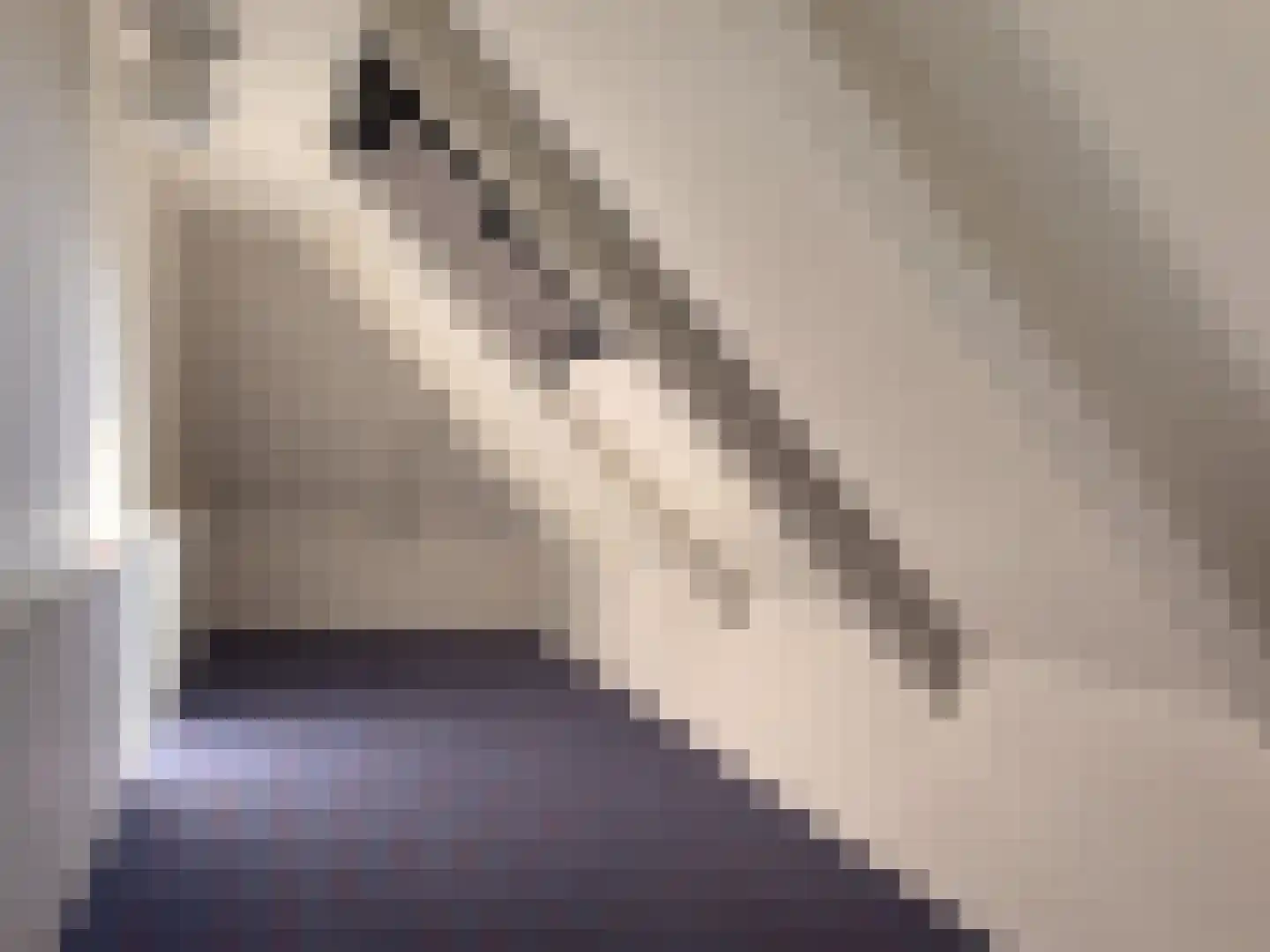 Simondsstraat 4 Genemuiden thumbnail 36