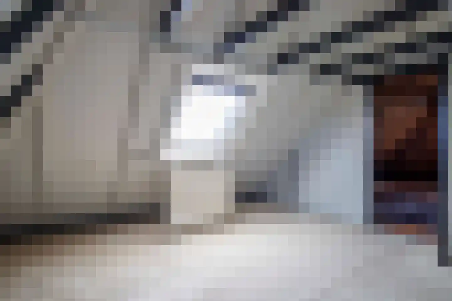 Simondsstraat 4 Genemuiden thumbnail 39