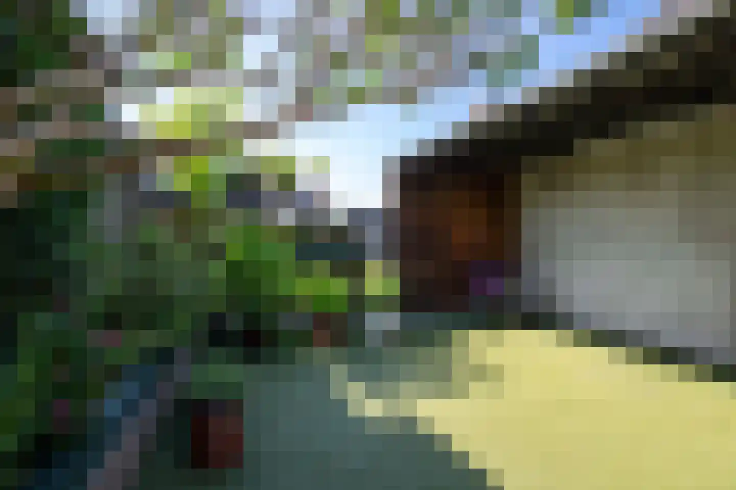 Simondsstraat 4 Genemuiden thumbnail 4