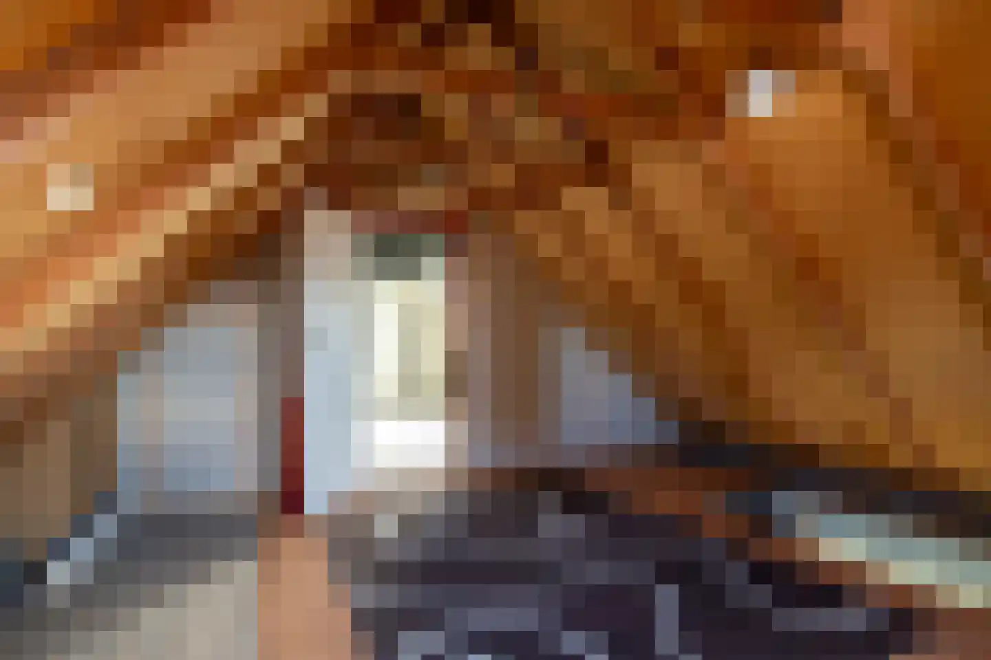 Simondsstraat 4 Genemuiden thumbnail 41