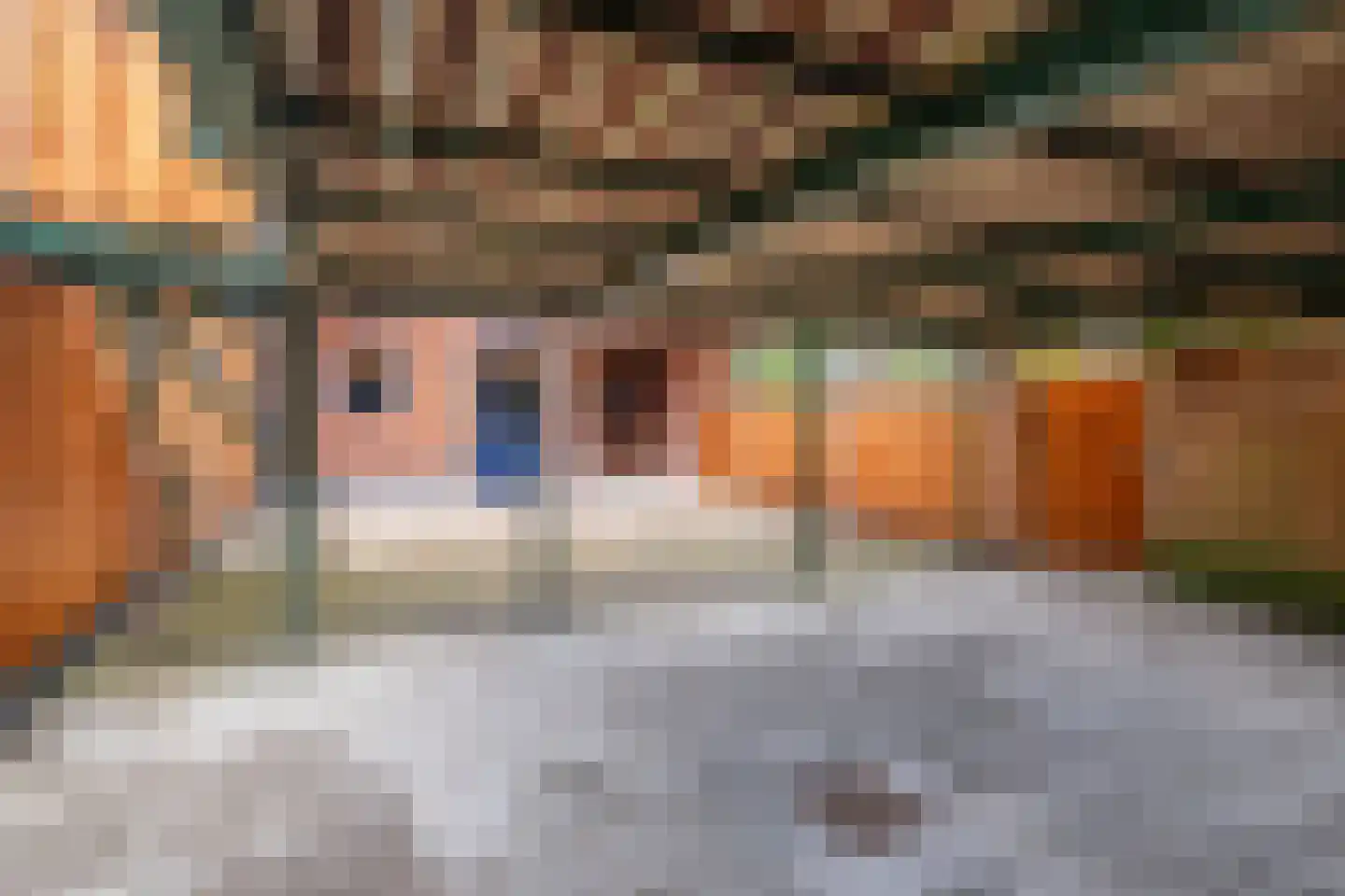 Simondsstraat 41 Genemuiden thumbnail 38