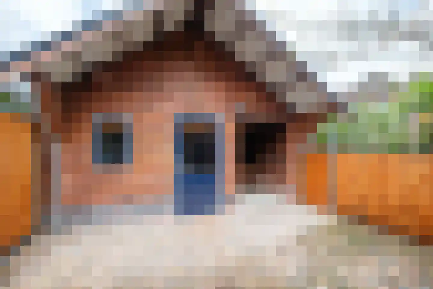 Simondsstraat 41 Genemuiden thumbnail 39