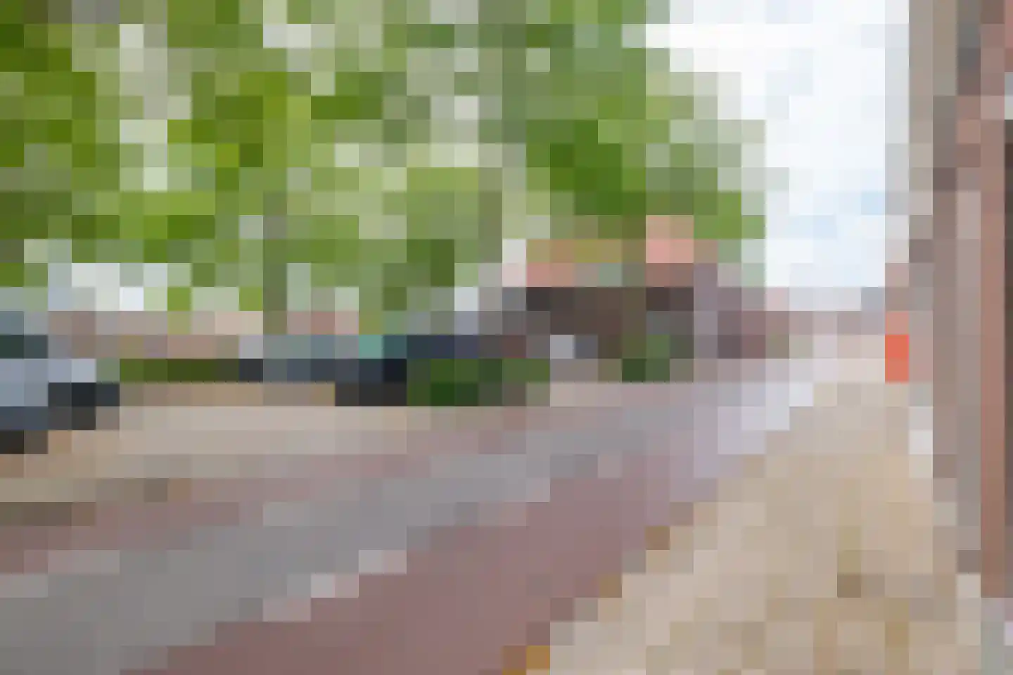 Simondsstraat 41 Genemuiden thumbnail 43