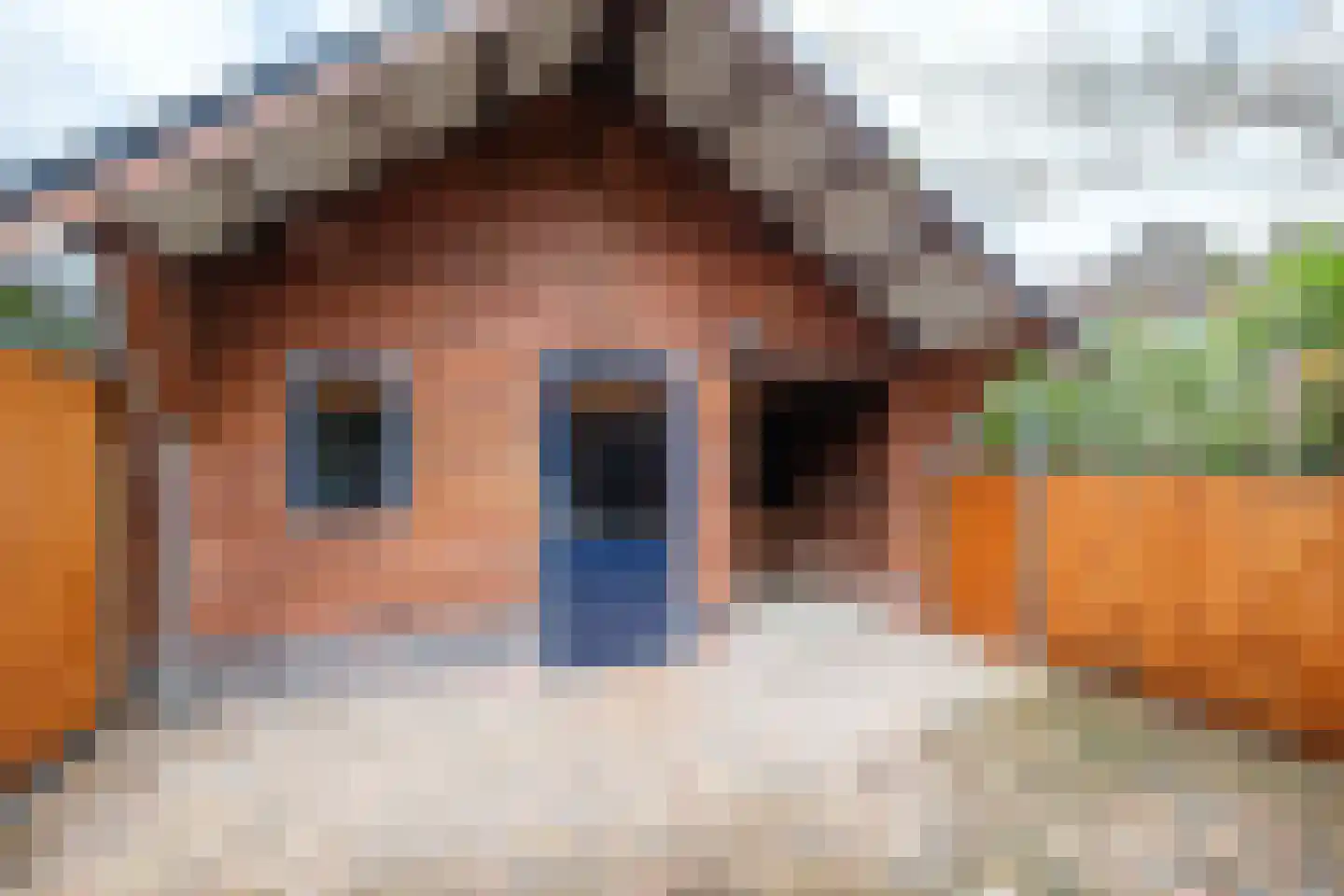 Simondsstraat 41 Genemuiden thumbnail 6