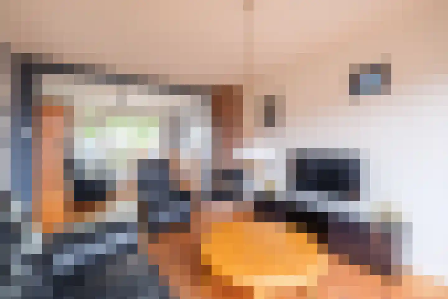Simondsstraat 41 Genemuiden thumbnail 9