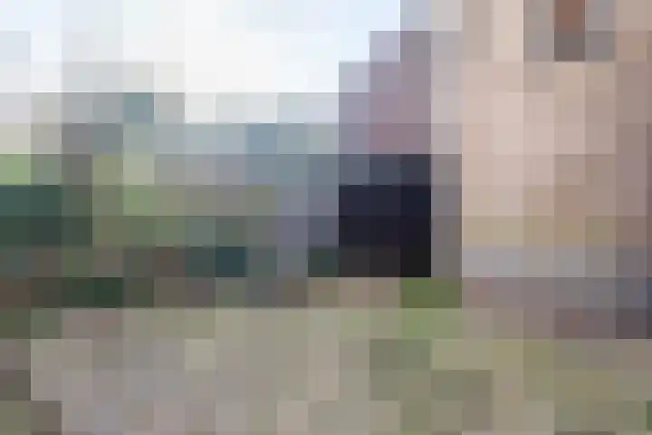 Simondsstraat 88 Genemuiden thumbnail 31