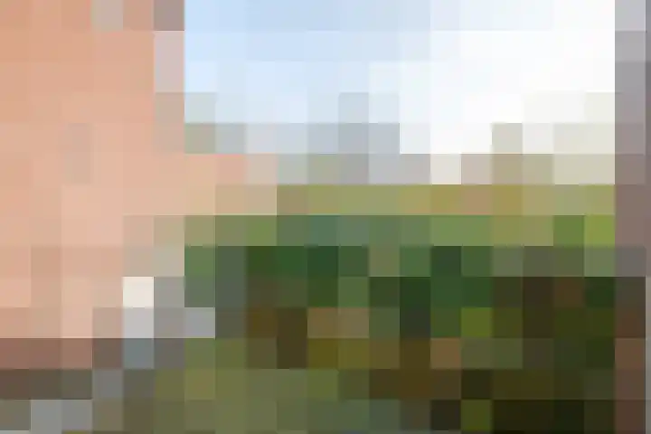 Simondsstraat 88 Genemuiden thumbnail 32