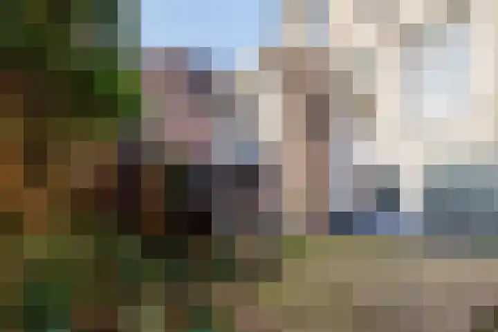 Simondsstraat 88 Genemuiden thumbnail 4