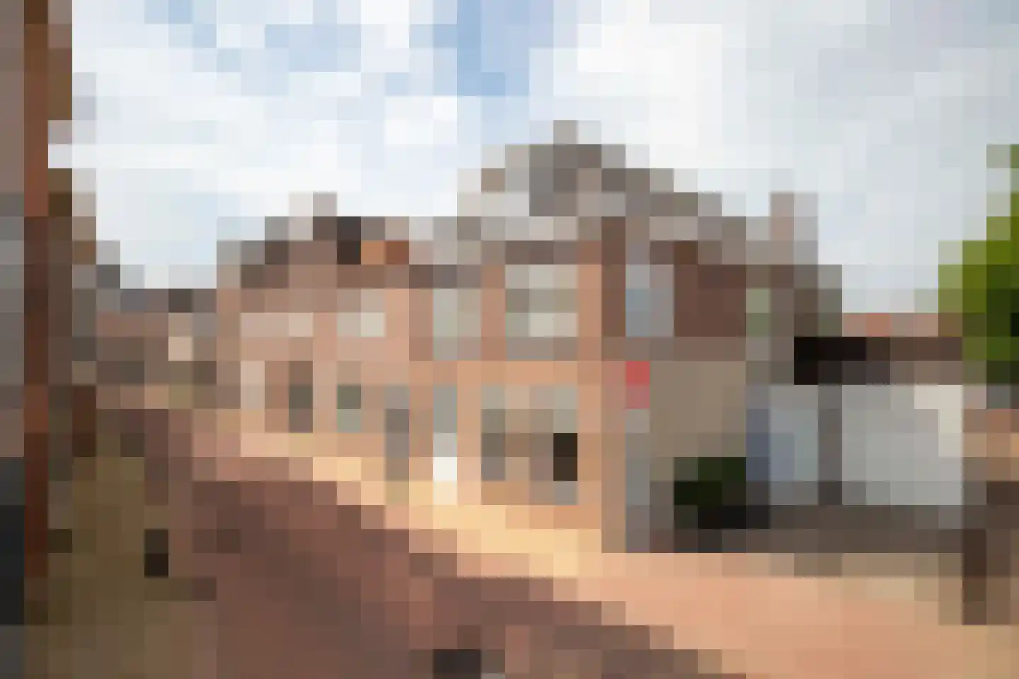 Simondsstraat 9 Genemuiden thumbnail 12
