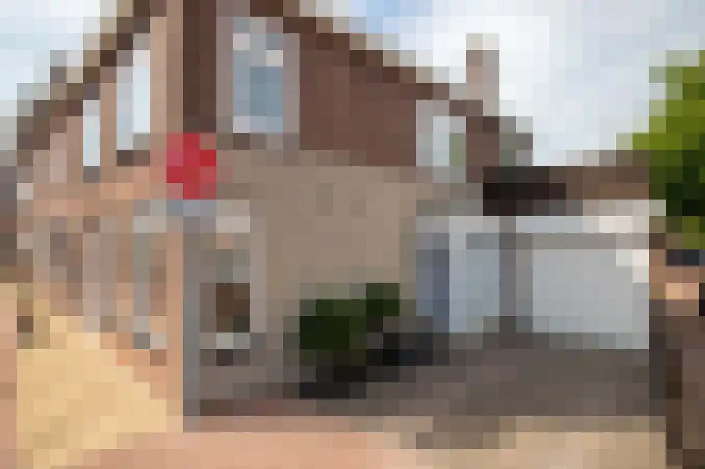 Simondsstraat 9 Genemuiden thumbnail 15