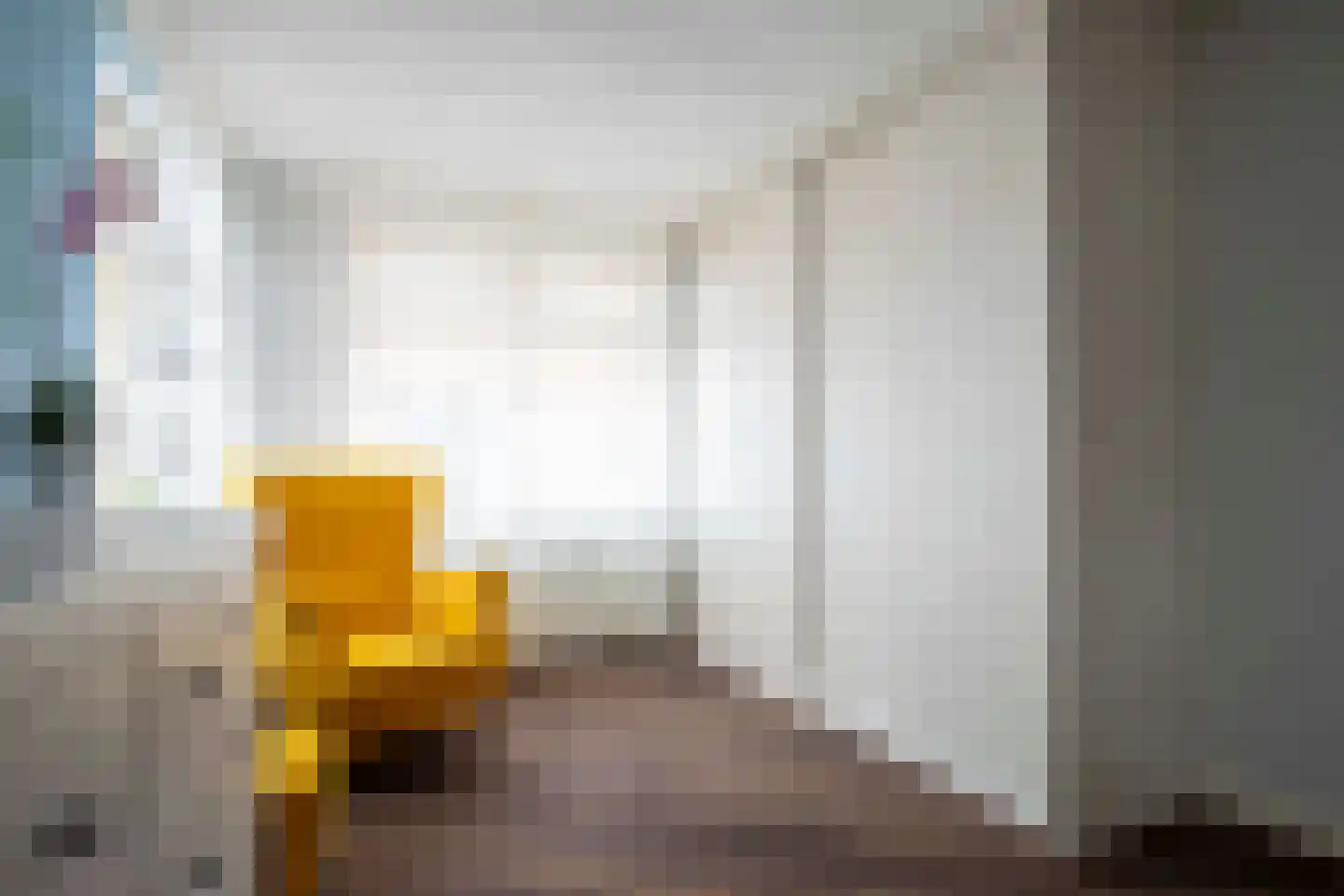 Simondsstraat 9 Genemuiden thumbnail 38