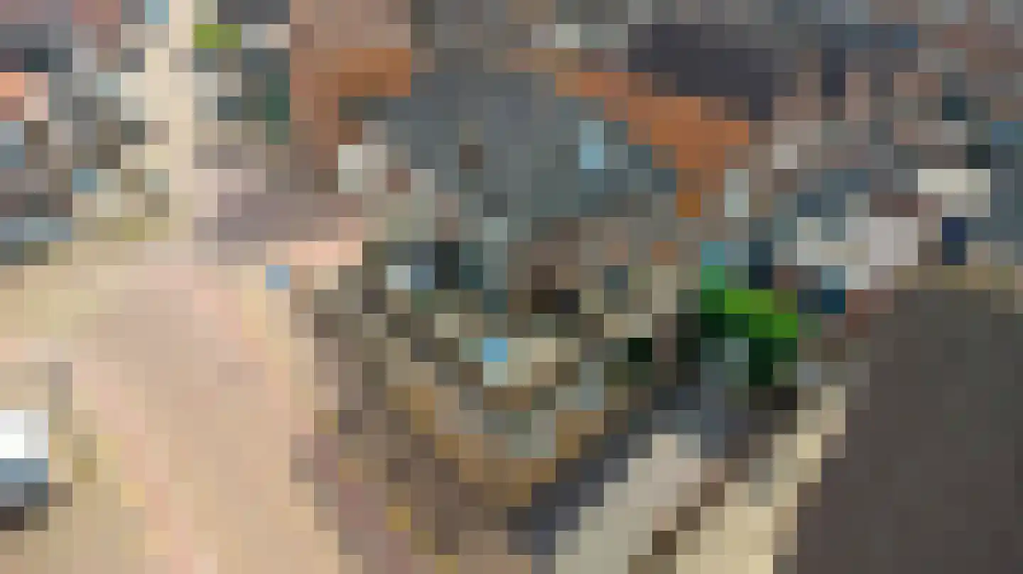 Simondsstraat 9 Genemuiden thumbnail 47