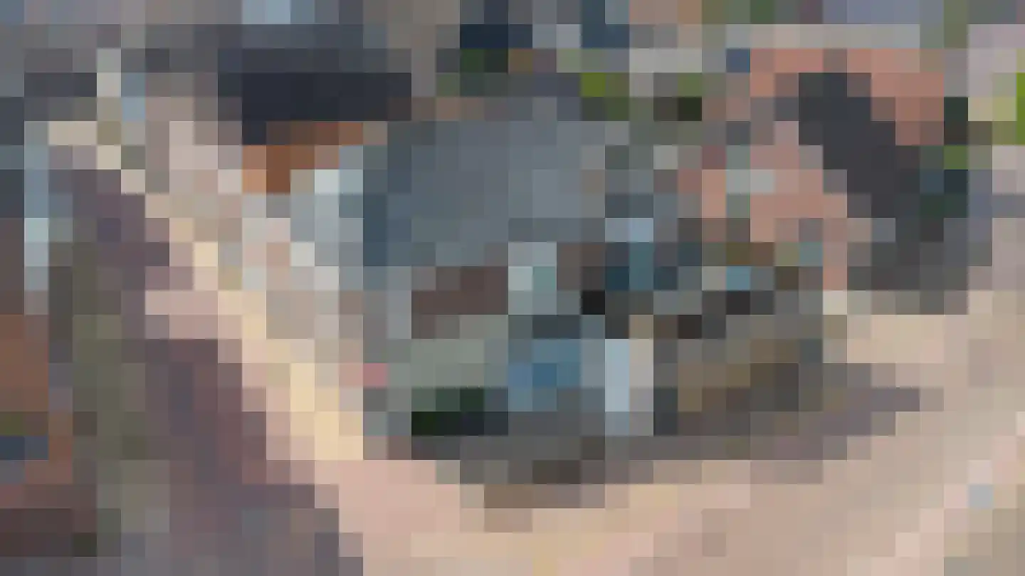 Simondsstraat 9 Genemuiden thumbnail 9