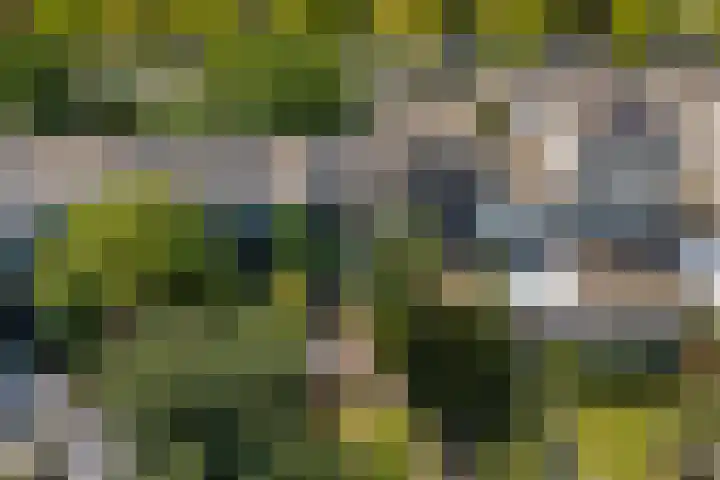 Simone de Beauvoirlaan 43 Huizen thumbnail 44
