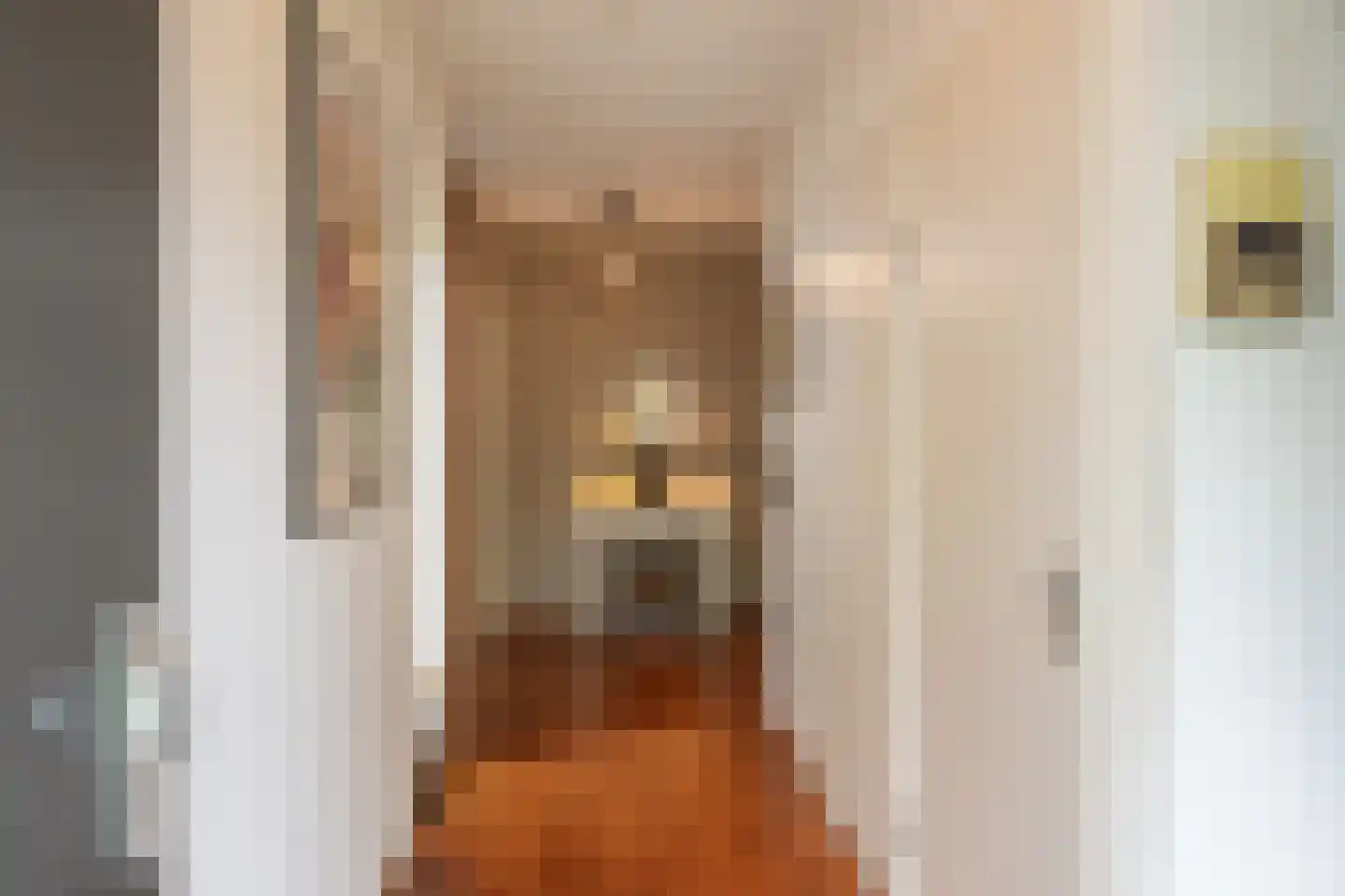 Simone de Beauvoirlaan 60 Huizen thumbnail 7