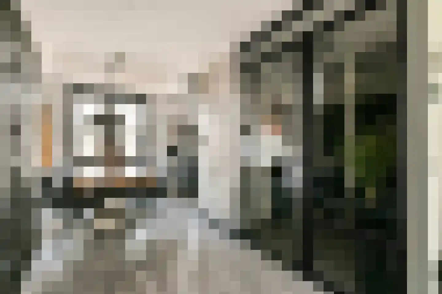 Simone de Beauvoirstraat 45 Spijkenisse thumbnail 14