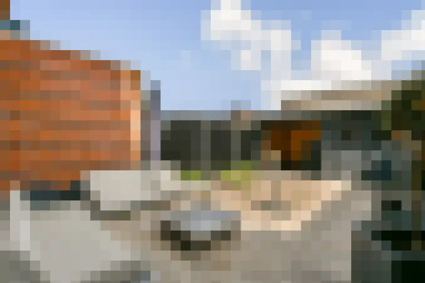 Simone de Beauvoirstraat 45 Spijkenisse thumbnail 5