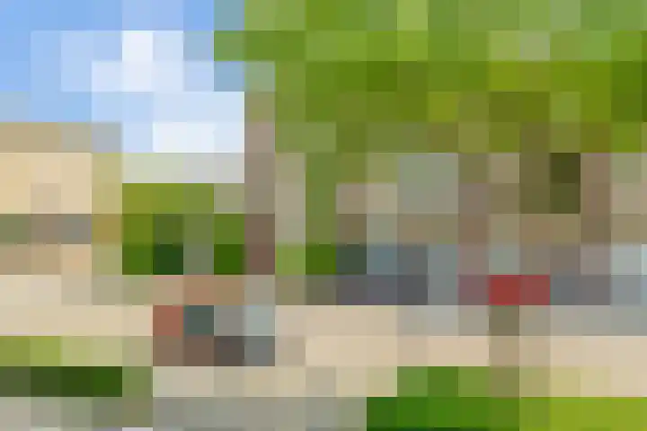 Simone de Beauvoirstraat 81 Spijkenisse thumbnail 9