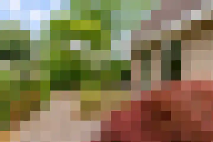 Simone Signoretstraat 43 Almere thumbnail 60