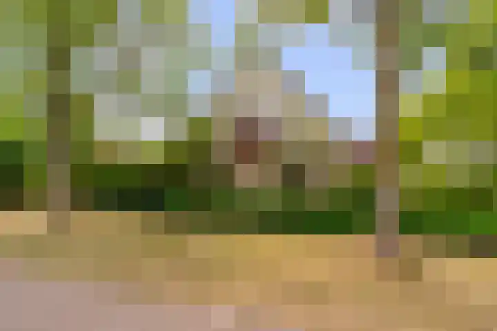 Simone Signoretstraat 43 Almere thumbnail 67