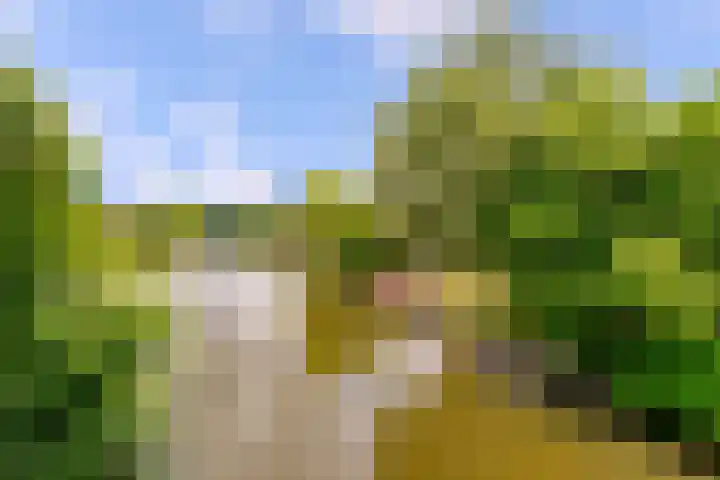 Simone Signoretstraat 43 Almere thumbnail 69