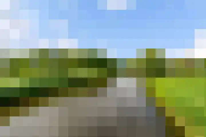 Simone Signoretstraat 43 Almere thumbnail 72