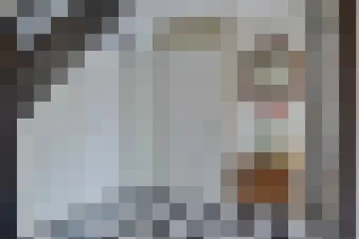 Simone Veilhof 3 Goes thumbnail 16