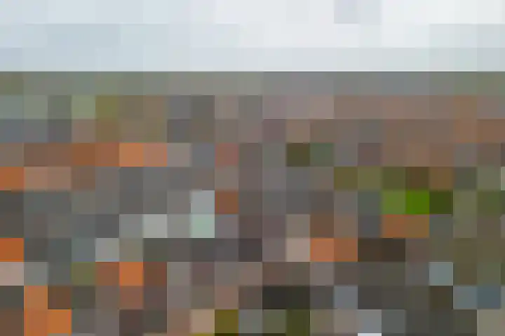 Simone Veilhof 3 Goes thumbnail 21