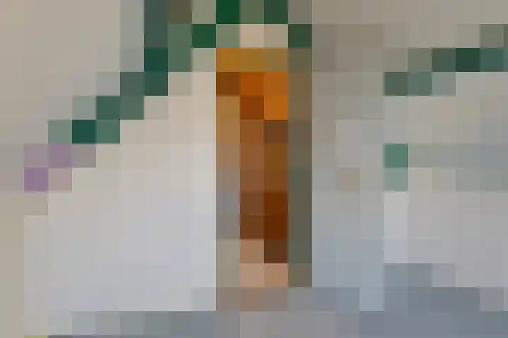 Simone Veilhof 3 Goes thumbnail 22