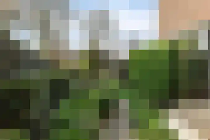 Simone Veilhof 3 Goes thumbnail 24