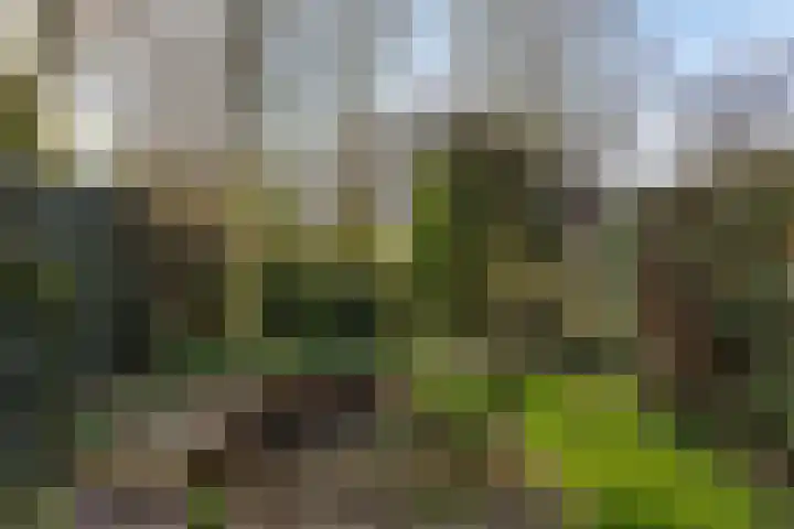 Simone Veilhof 3 Goes thumbnail 25