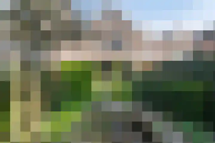 Simone Veilhof 3 Goes thumbnail 26