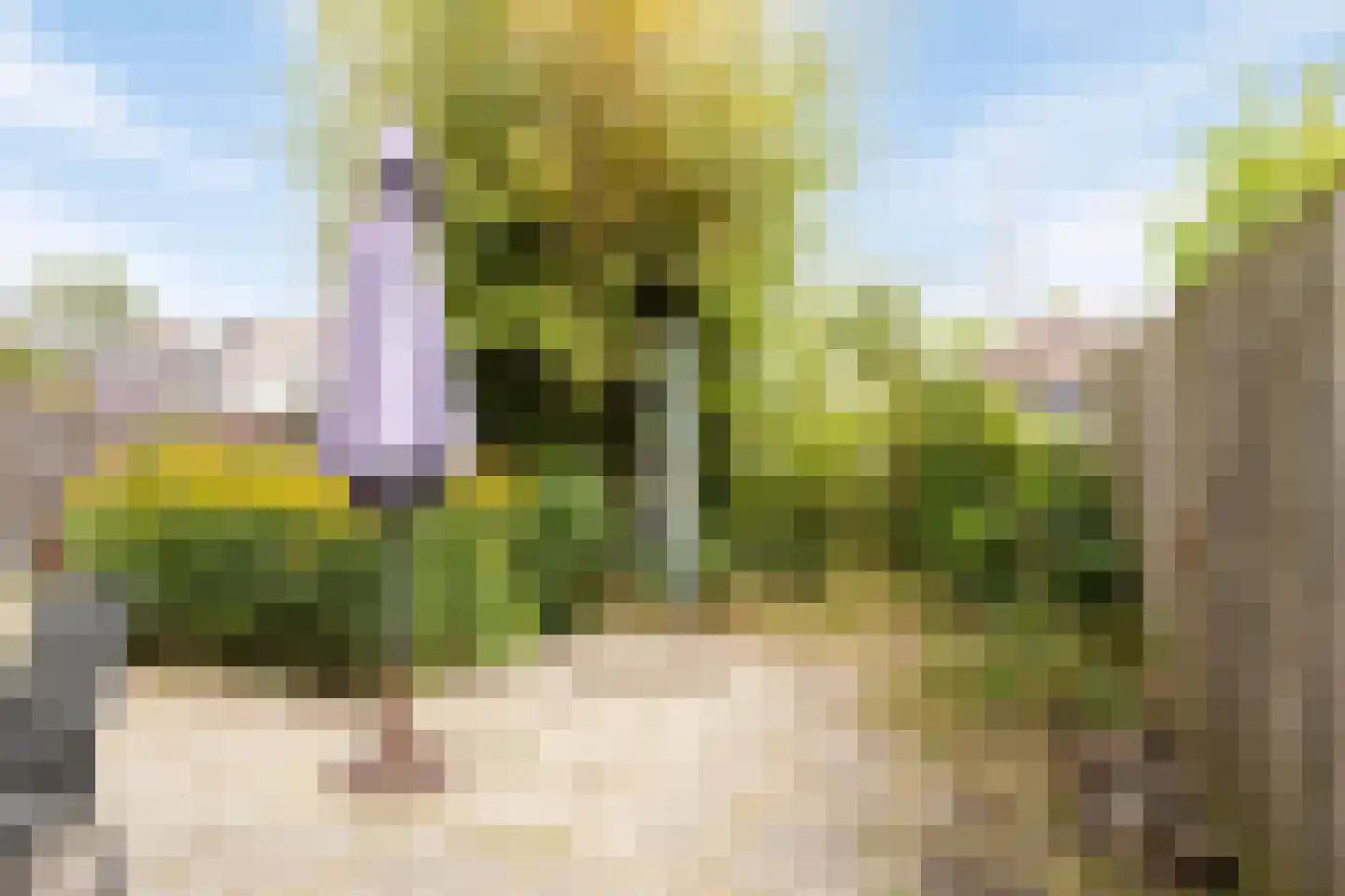 Simone Veilhof 34 Goes thumbnail 37