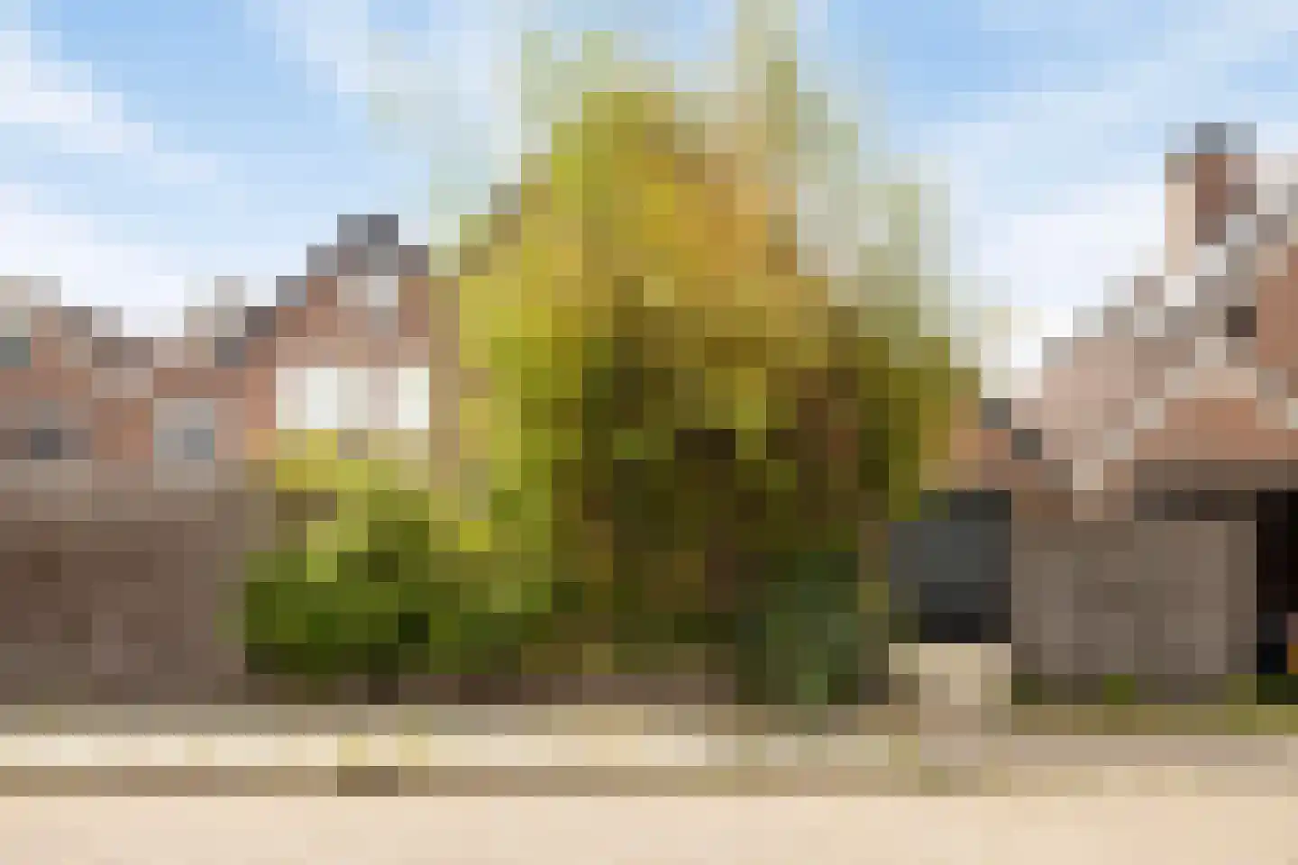 Simone Veilhof 34 Goes thumbnail 44