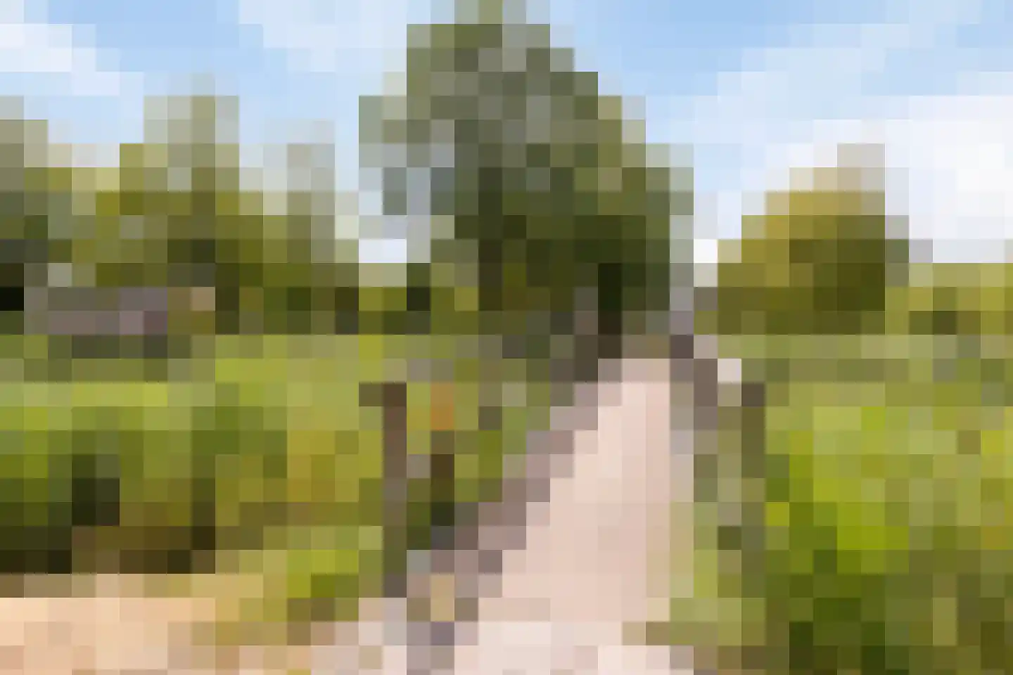 Simone Veilhof 34 Goes thumbnail 47